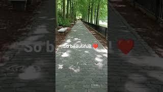 Mental Health Writer Walk 