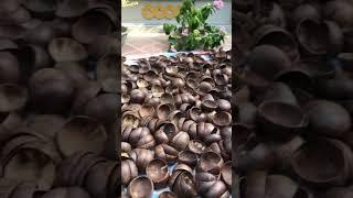 Así se hacen nuestros bowls de coco  entre más naturales mejor 🫶 #ecommerce #emprendedora