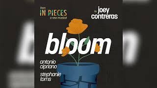 Antonio Cipriano & Stephanie Torn & Joey Contreras - Bloom - In Pieces: A New Musical Deluxe Version