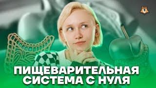 Пищеварительная система с нуля | Биология ОГЭ 2023 | Умскул