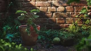 We Speak Plant | Royal Horticultural Society