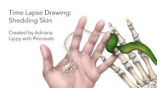 Time Lapse Drawing: Shedding Skin