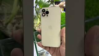 Iphone 11 convert into.13 pro.max