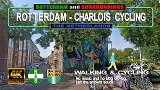 (4K) ROTTERDAM - CHARLOIS CYCLING (The Netherlands) Walking and Cycling