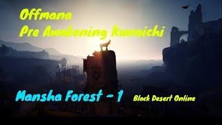 Black Desert Online - Mansha Forest 1 - Pre Awakening Kunoichi