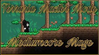 TERRARIA: Master Mode (Mediumcore) Part: 264