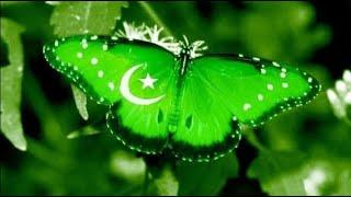 Happy Independence Day Pakistan | 14 August Whatsapp Status 2020