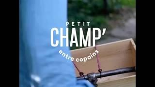 Champagnes de vignerons... par Petit vin entre copains