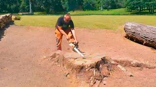 An Interesting Way to get rid of a Huge Tree Stump - Cut, Dig and Burn