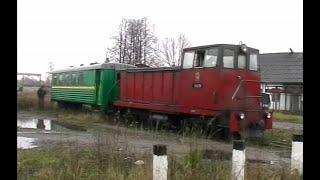 Гусевское торфопредприятие, узкоколейка/Narrow railway track of Gus-Khrustalny (17.10.2009)