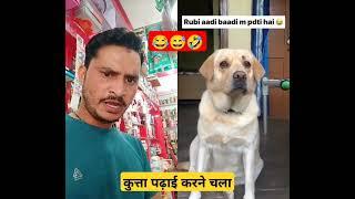 Acha g  #dog #viral #comedy #trending #funny #forfun #viralvideo