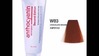 Anthocyanin Hair Manicure Color Second Edition 230g  8 1 OZ W03 CHOCOLATE BROWN   Semi Permanent Hai