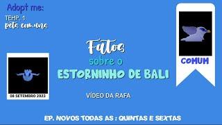 Fatos sobre o Estorninho de Bali Feat:@gamesbel