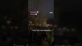 Yale students protest in solidarity with Columbia University and Palestine