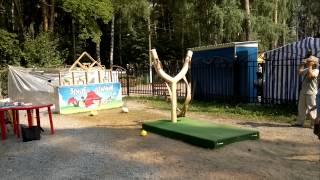 angry birds (attractions in Russia)