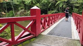 Pukekura Park New Plymouth Taranaki New Zealand