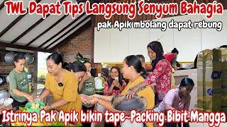 TWL DAPAT TIPS‼️PAK APIK MBOLANG DAPAT REBUNG| MEMBUAT TAPE SINGKONG~PENGIRIMAN BIBIT MANGGA RAKSASA