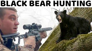 I Hunted Black Bears with Dogs for the First Time!