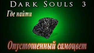 Где найти Опустошенный самоцвет и Кольцо холодящего укуса в Dark Souls 3 - Дарк Соулс 3 ГАЙД