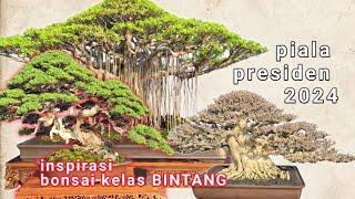 inspirasi bonsai kelas bintang di piala presiden 2024