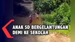 Viral Video Anak SD Bergelantungan Seberangi Sungai, Begini Faktanya!