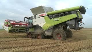 Claas Lexion 8800TT raccolta riso 2024 Vercelli