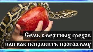 Семь смертных грехов или как исправить программу человека? (Лекция 0.5, Семенов И.Н.)