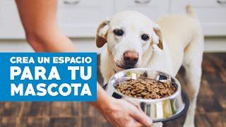 Cómo crear un espacio para perros y gatos en casa