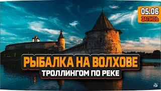 Рыбалка троллингом на реке Волхов — Русская Рыбалка 4