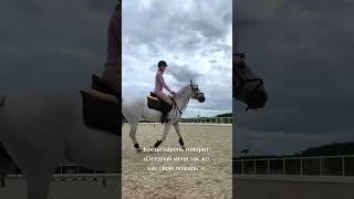 Парни, никогда так не делайте #horse #конники #конныймир #юмор #equestrian #всадник #конныйспорт