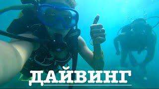 ДАЙВИНГ В СРЕДИЗЕМНОМ МОРЕ (КЕМЕР) #топ #турция #кемер #дайвингпервыйраз #fish#tiktok #shorts