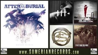 AFTER THE BURIAL - Anti-Pattern