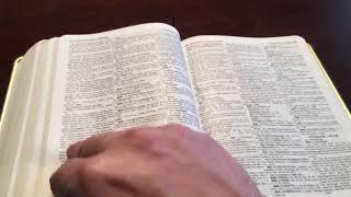 Thompson Chain Reference Bible Handsize Review