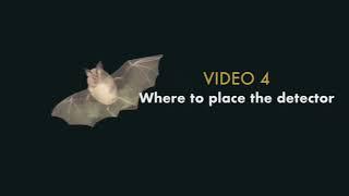 Video 4: Placing detector