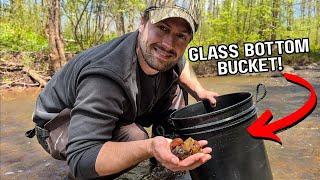 I use a GLASS bottom bucket to find GEMS in river.. & CUT them!!