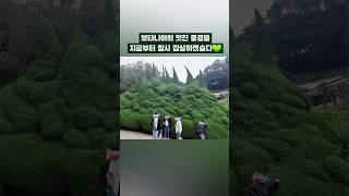 * 거제여행 - 외도 보타니아 * #외도보타니아 #거제도여행  #거제관광 #거제여행 #섬여행 #보타니아 #외도해상농원 #경상남도여행 #oedobotania #travel