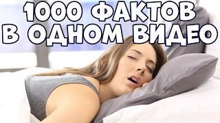 1000 ФАКТОВ В ОДНОМ ВИДЕО