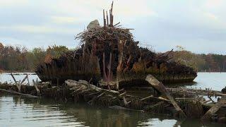 Guarding the treasured ghost fleet of Mallows Bay