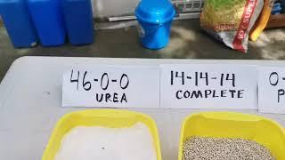 Types of fertilizers commonly used and stages ng pag apply ng fertilizer