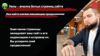 Анализ сайта Xenu | как найти битые ссылки, стили, картинки на страницах | Бесплатный аудит сайта