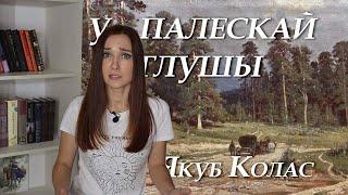 Якуб Колас. У Палескай глушы. Кароткі змест