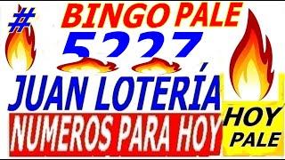 NÚMEROS PARA HOY 04 DE ENERO 2021 PALE DE JUAN LOTERIA