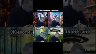 Когда услышали эту песню #меллстрой #borov А ты стоишь на берегу в синем платье