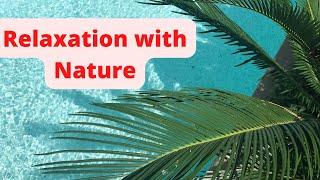 Relaxation Music nature| International Yoga Day|Nature Meditation Music Relaxation|Relax with Nature