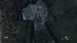 Легкий способ убить мечника одинокой тени Sekiro