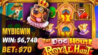 The Dog House - Royal Hunt Slot!  x97 in The Dog House!  Big Win - $6748