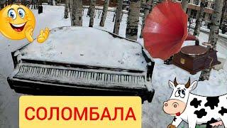 СОЛОМБАЛА АРТ. Дед Мамон. Архангельск. Работа в такси.