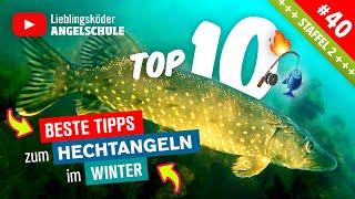 10 Tipps zum HECHTANGELN im Winter   