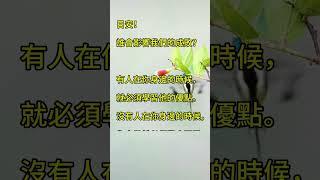 誰會影響我們的成敗？ 拾穗之悅～2024年6月30日