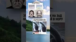 #мем